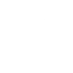 Reports & Analytics